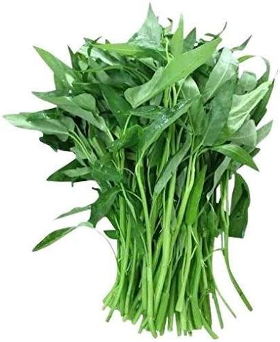 kangkung